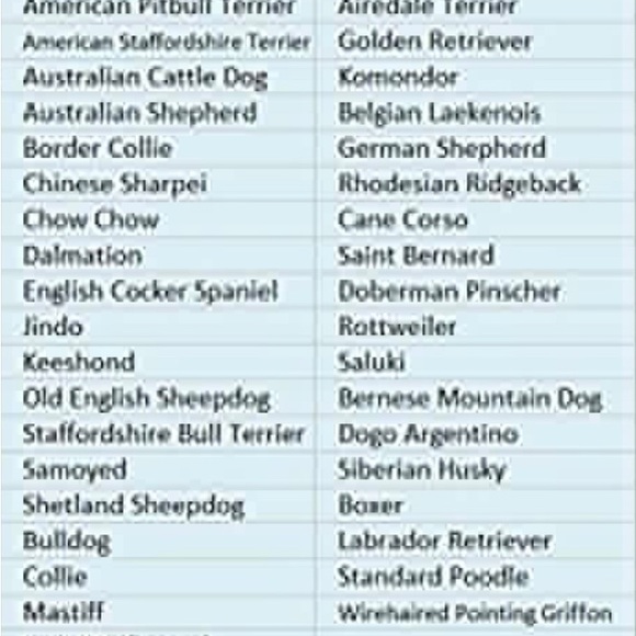 Lg 16”-24” USA theme flag Bandana - Picture 2 of 3